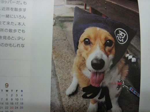 12月28日 カレンダー1.JPG