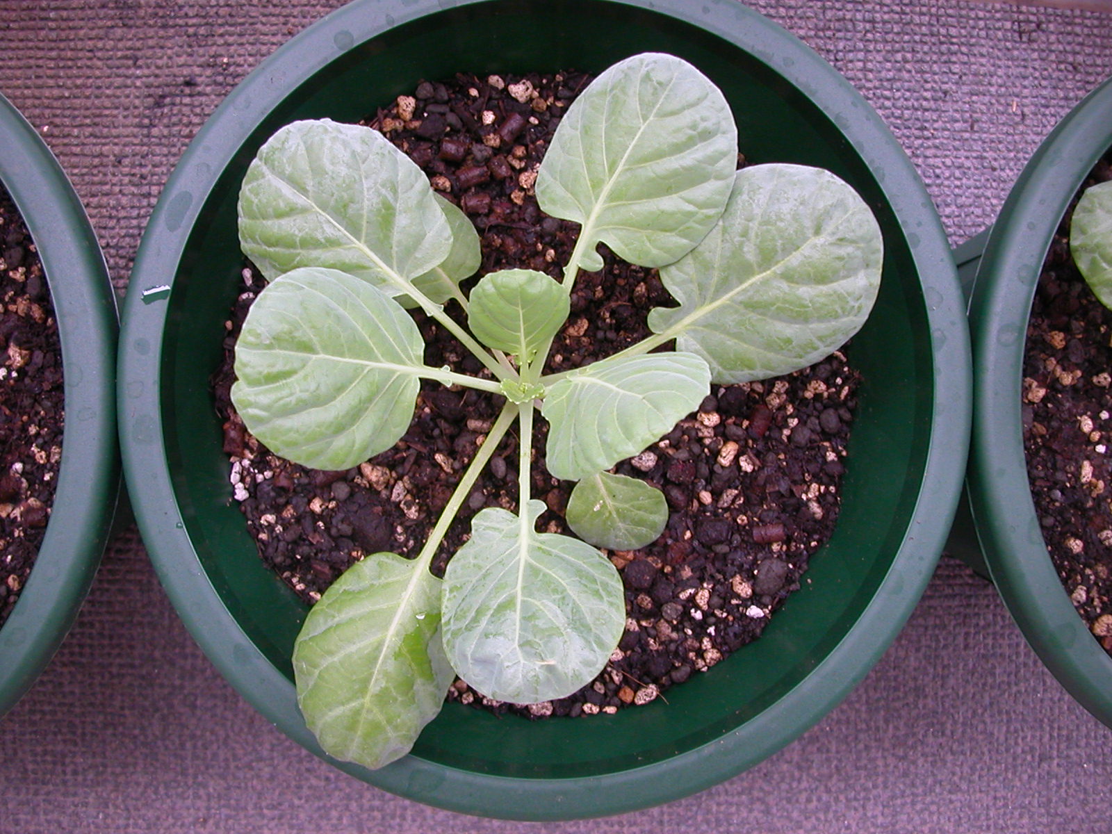 DSCN1422.JPG