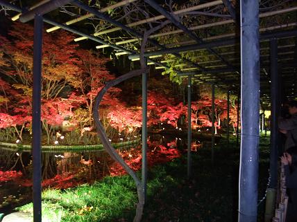 DSCF1436-2.JPG