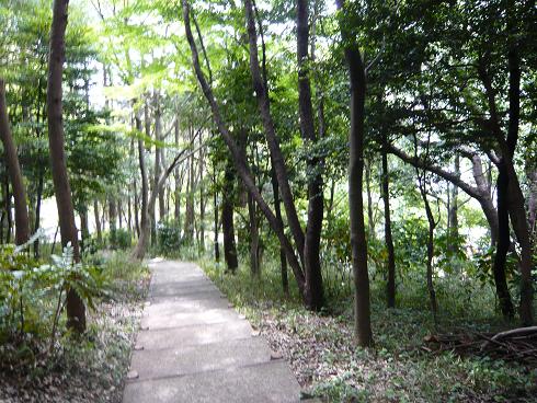 公園1.JPG