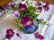 ビオラ切花.JPG
