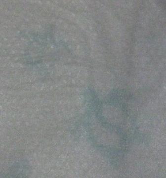 ホヌ柄もちゃんと入ってます♪