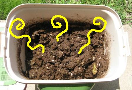 チップがベタベタ…