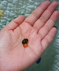 ニュースリムとγ-トコフェロールと粒の大きさ比較