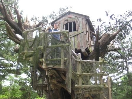トムソーヤの木の上のお家