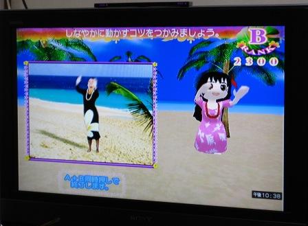 Hula　Wii 楽しくフラを踊ろう！