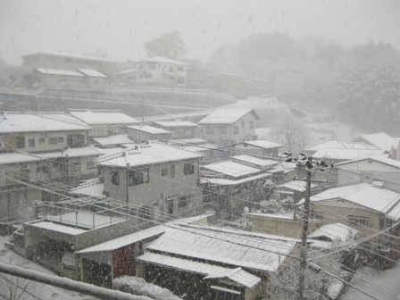 本格的な大雪…