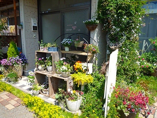 shop