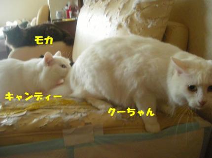 2010-06-21 12:37:03