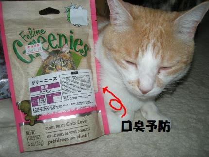 2010-03-20 08:48:46