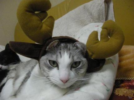 2009-12-24 09:50:44