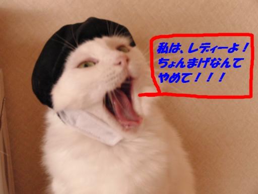 2012-01-11 09:41:11