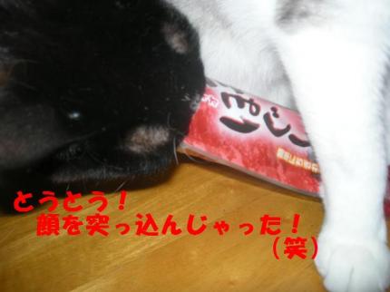 2010-03-31 09:07:27
