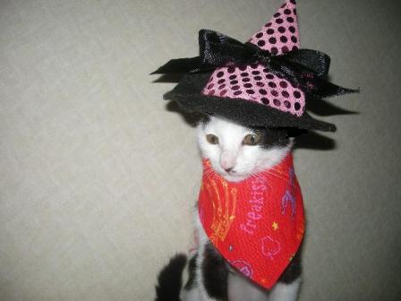 2010-10-31 09:43:21