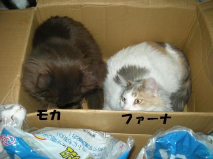 2010-03-20 08:49:27