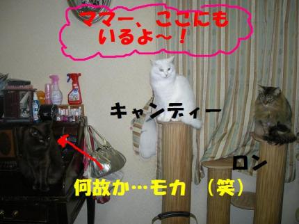 2010-02-22 09:44:30