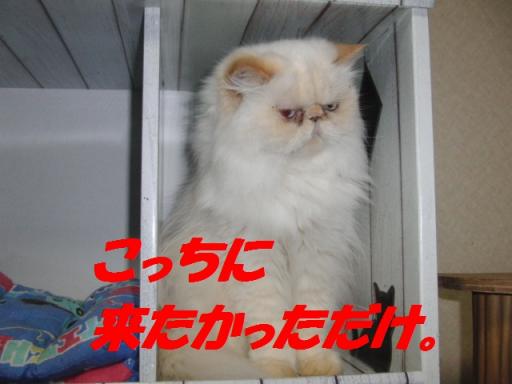 2012-01-28 11:55:01