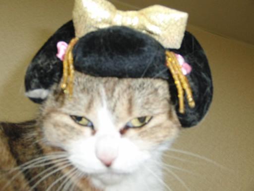 2012-01-11 09:42:17