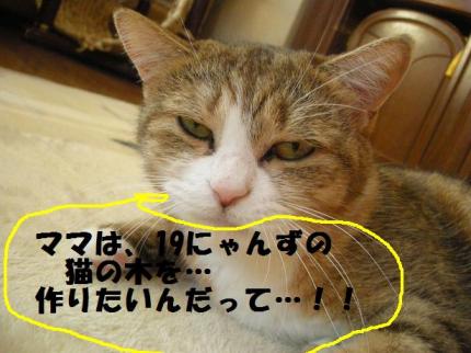 2010-02-22 09:45:36