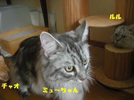2010-06-21 12:42:17