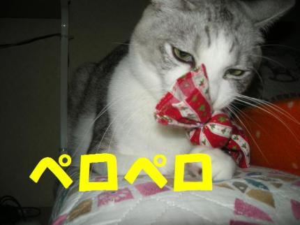 2010-03-07 11:03:42