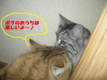 2010-06-21 12:42:39