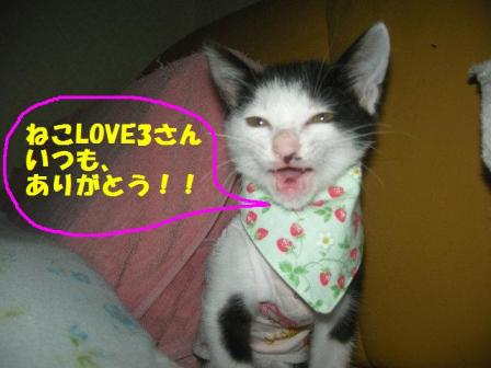 2010-10-17 09:55:33