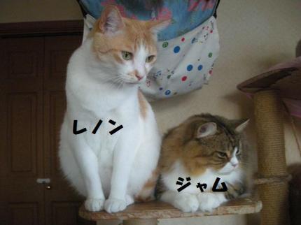 2010-02-22 09:48:04