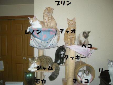 2010-02-22 09:48:40