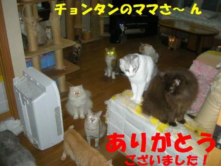 2010-10-10 09:45:03
