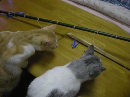 2009-10-10 11:01:55