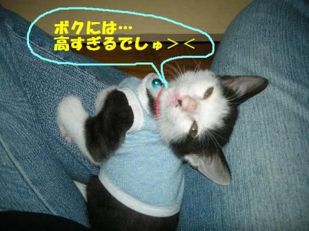 2010-10-11 10:21:32