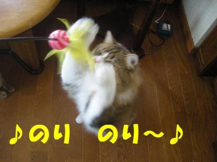 2010-06-13 08:31:45