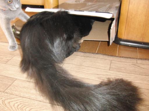 2012-01-12 09:48:16