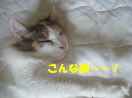 2010-07-05 20:34:51