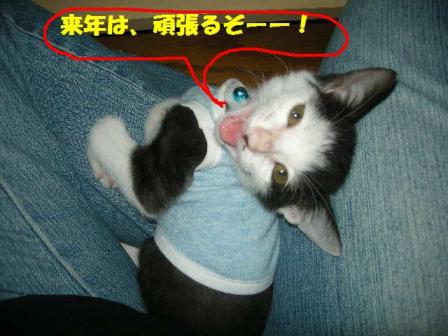 2010-10-11 10:22:02