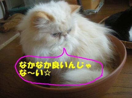2010-07-24 09:15:36