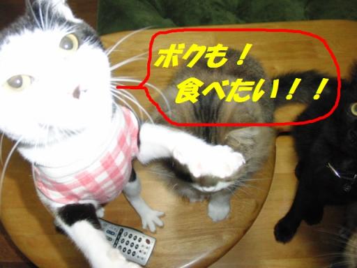 2012-01-29 09:37:27