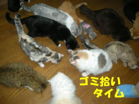 2010-10-11 10:22:28