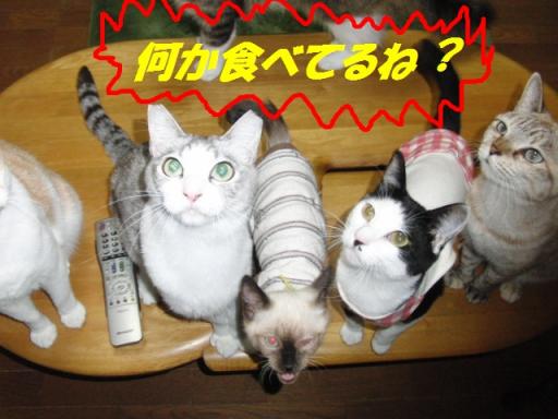 2012-01-29 09:37:52