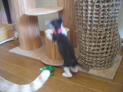 2010-09-30 10:56:07