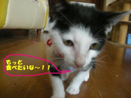 2010-10-20 10:27:23