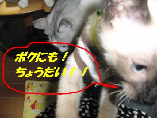 2012-01-29 09:38:17