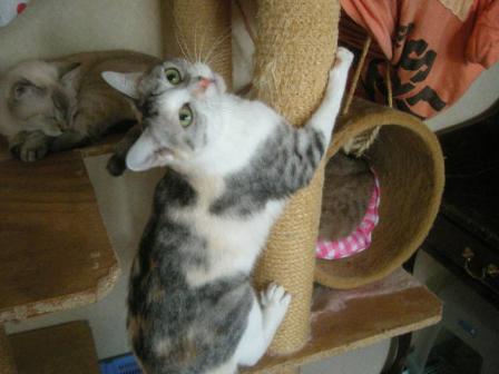 2010-10-28 09:13:59