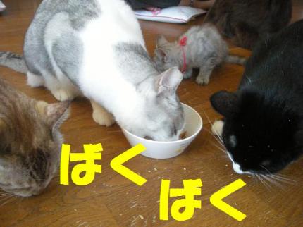 2010-09-30 10:56:53
