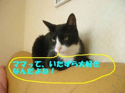 2010-05-28 09:32:58