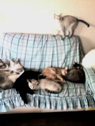 2008-12-21 18:40:50