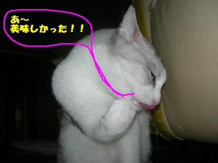 2010-10-20 10:27:47