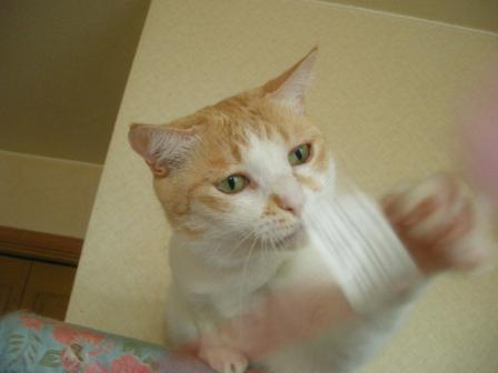 2010-10-28 09:14:48