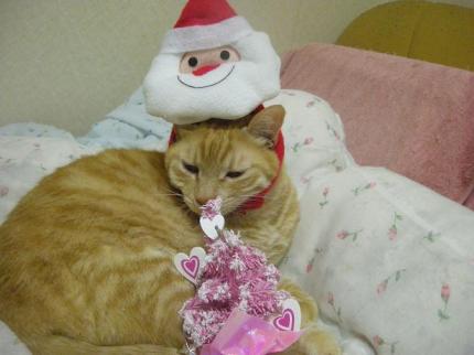 2009-12-24 09:58:50